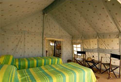 DERA ECO - ROOM